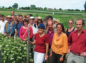 Motivation für biologisch-dynamische Gemüsezüchtung Motivation für biologisch-dynamische Gemüsezüchtung
