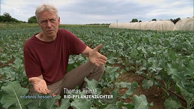 Thomas Heinze inmitten von Brokkoli in seinem Zuchtgarten in Bingenheim