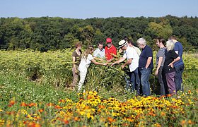 Naturata möchte die Kooperation mit Kultursaat fortsetzen